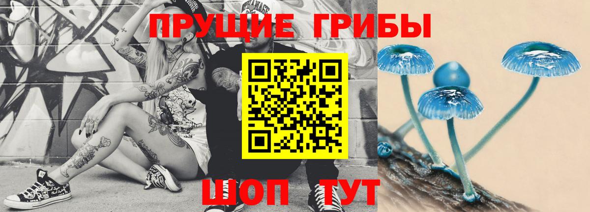 Галлюциногенные грибы мицелий  Псилоцибиновые грибы прущие грибы  Вход с VPN  Мурманск 